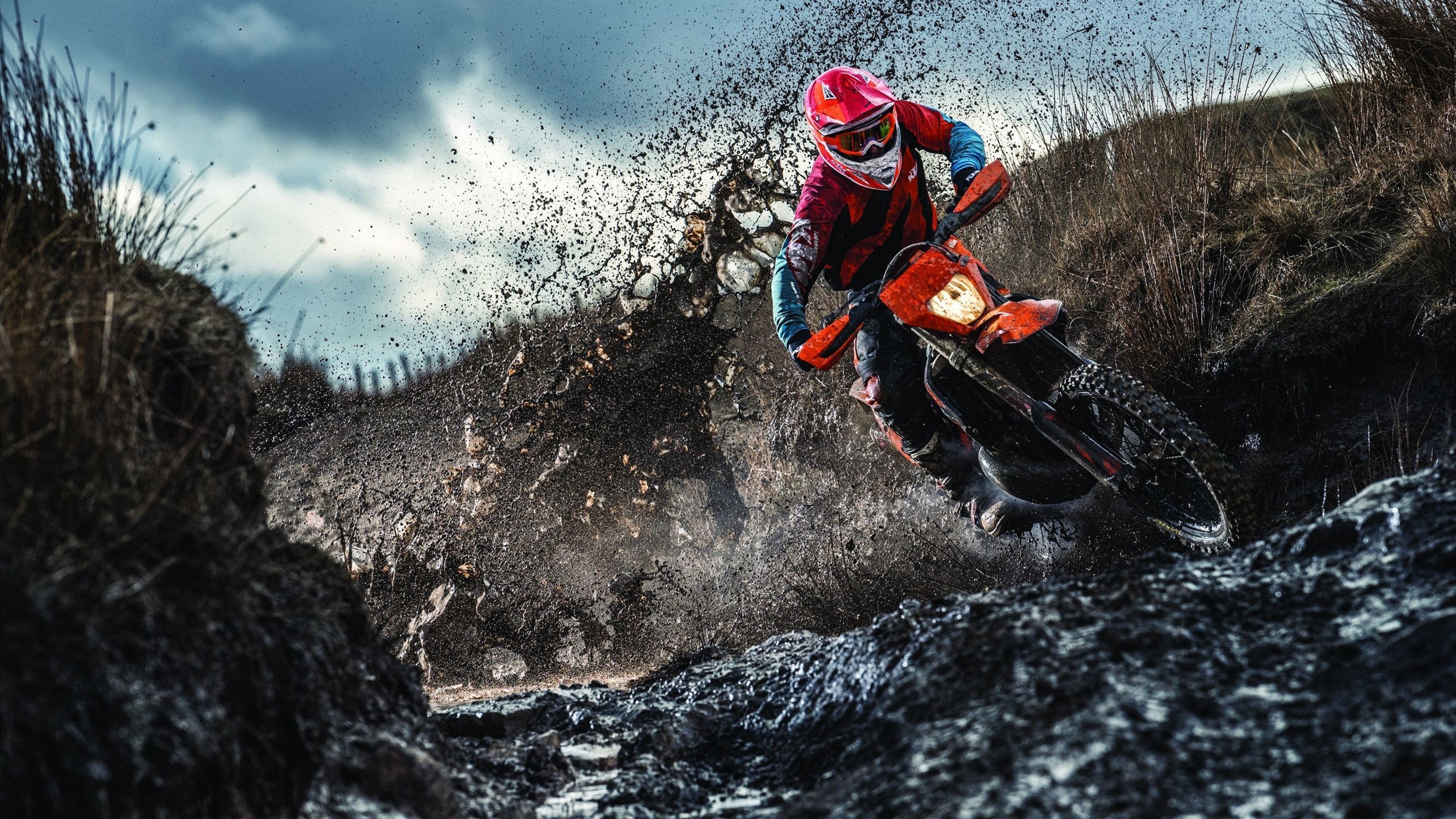 前热刺球星阿尔德韦雷尔德开启多彩人生，阿尔德里奇热火