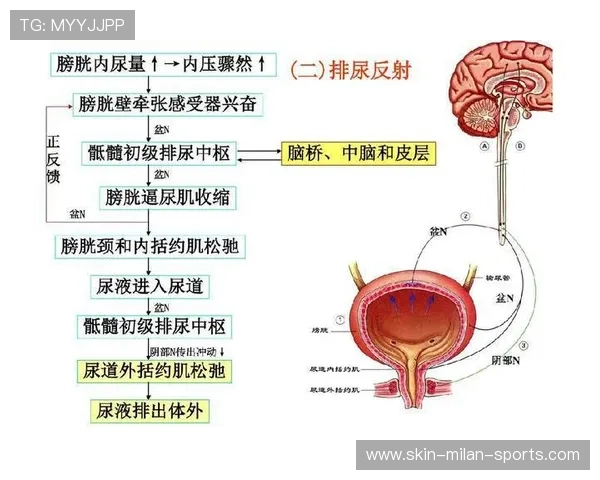 电竞选手的“反射神经:0.1秒的技能反应 电竞选手的“反射神经:0.1秒的技能反应